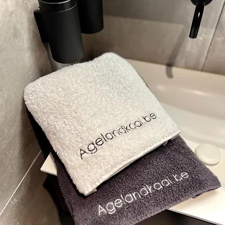 L'atique By Agelandkaai Be With Free Parking Apartmán