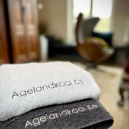 L'atique By Agelandkaai Be With Free Parking Apartamento *