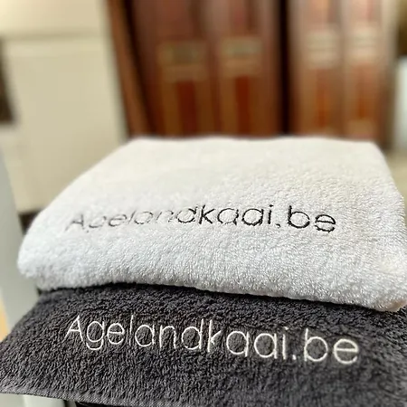 L'atique By Agelandkaai Be With Free Parking Apartamento Gante