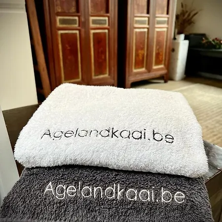 L'atique By Agelandkaai Be With Free Parking Apartamento *