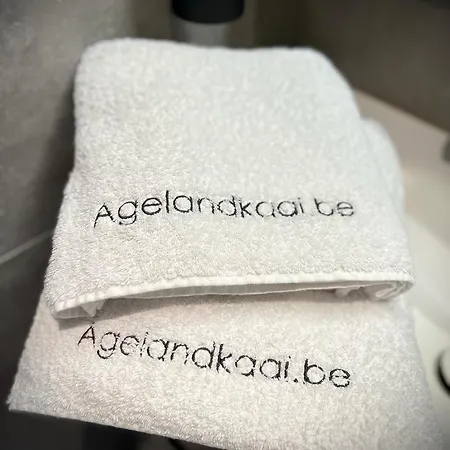 Apartamento L'atique By Agelandkaai Be With Free Parking *
